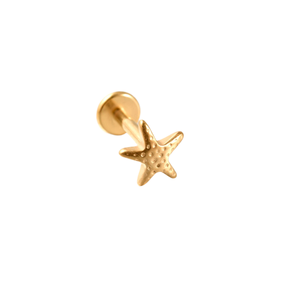 Estrella de Mar Dorada Titanio Diseño