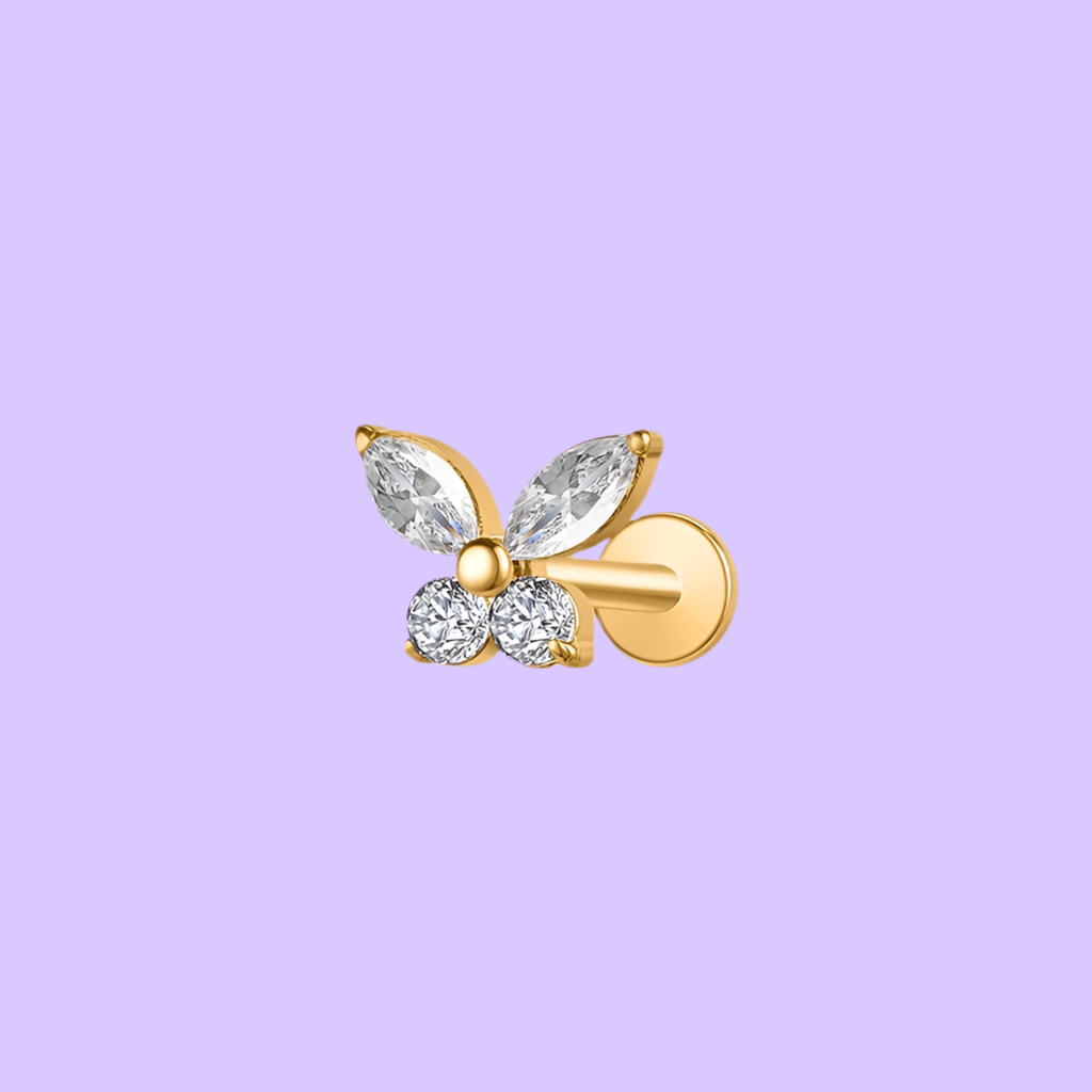 Mariposa Brillosa Titanio Diseño