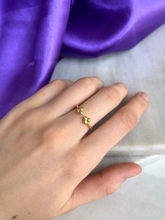 Anillo Doble Trebol