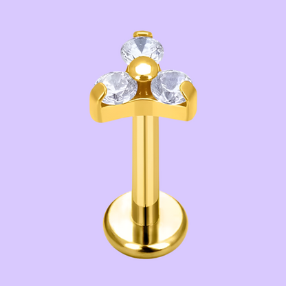 Trebol Dorado Titanio Diseño
