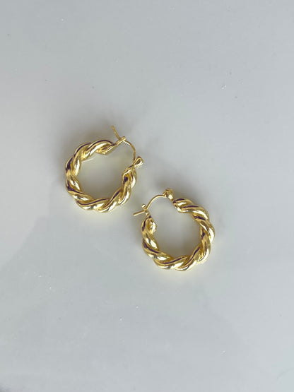 Hoops Twist