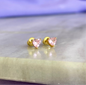 Corazón Pinky