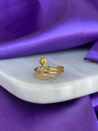 Anillo Serpiente