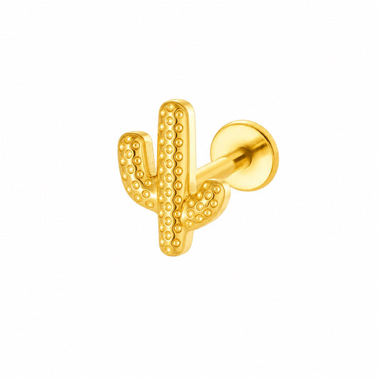 Cactus Titanio
