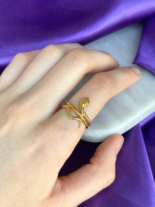 Anillo Serpiente