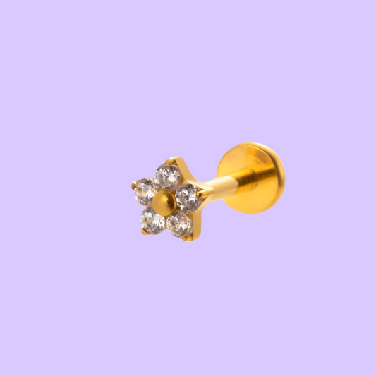 Estrella Titanio Diseño