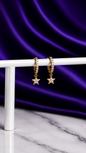 Hoop Brillos con Estrella Chapa de Oro 22k