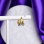 Hoop Doble Lisa Chapa de Oro 22k