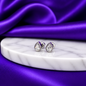 Broquel Rocio Chapa de Rodio 22k